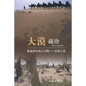 【正版现货】大漠藏珍：探索消失的古文明