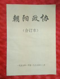 朝阳政协—1999年