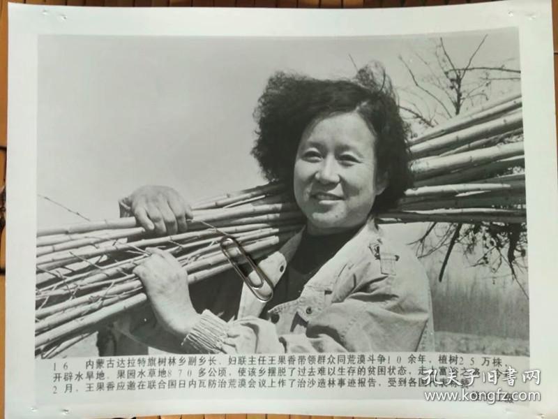 内蒙古达拉特旗树林乡副乡长,妇联主任王果香,联合国日内瓦作 治沙