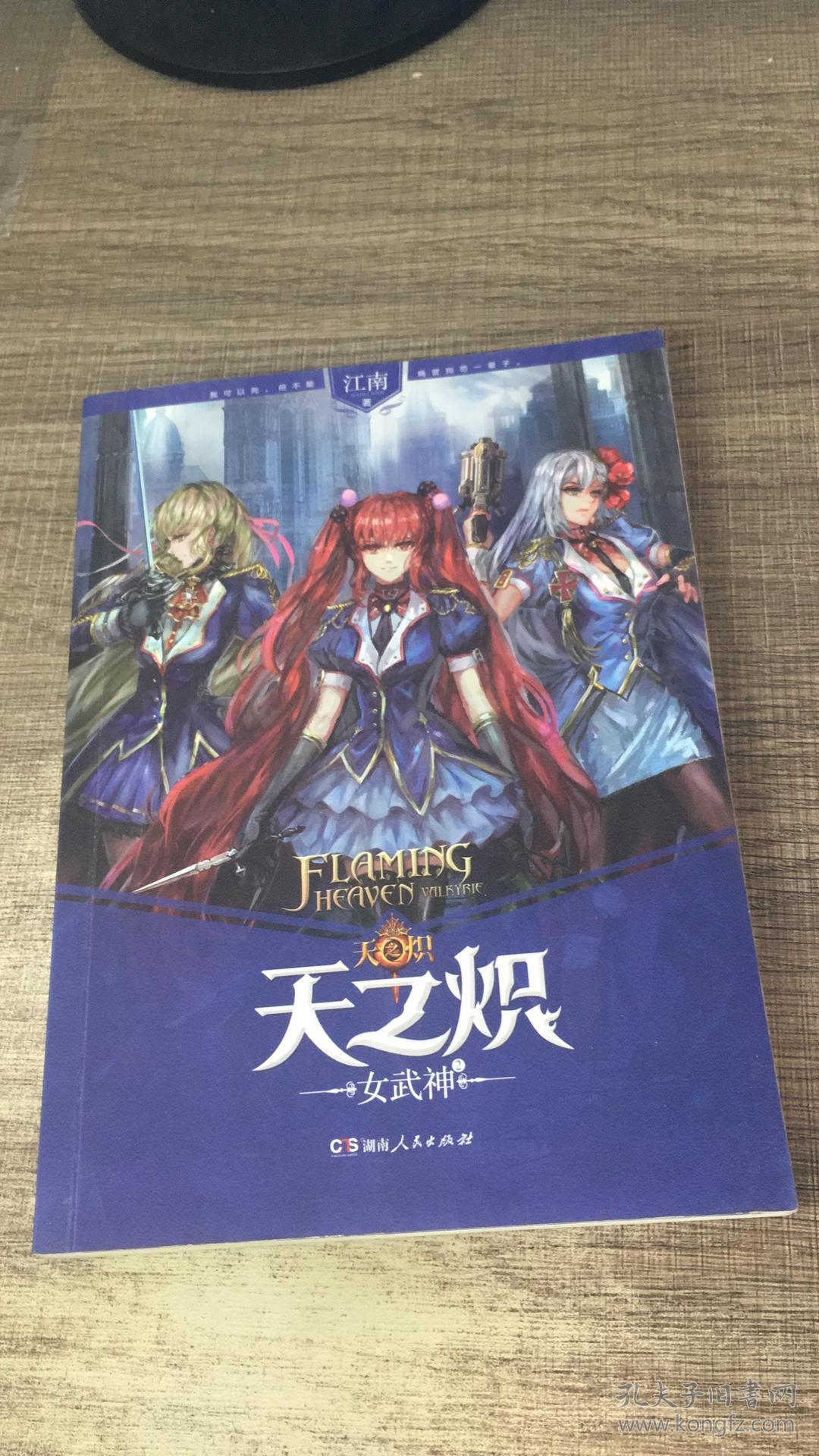 天之炽:女武神2