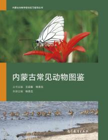 内蒙古常见动物图鉴