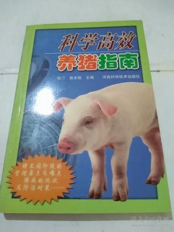 科学高效养猪指南
