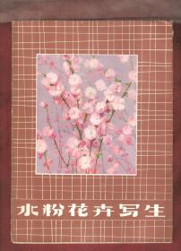 水粉花卉写生（活页带封套12张全）
