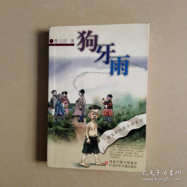 狗牙雨曹文轩纯美小说系列