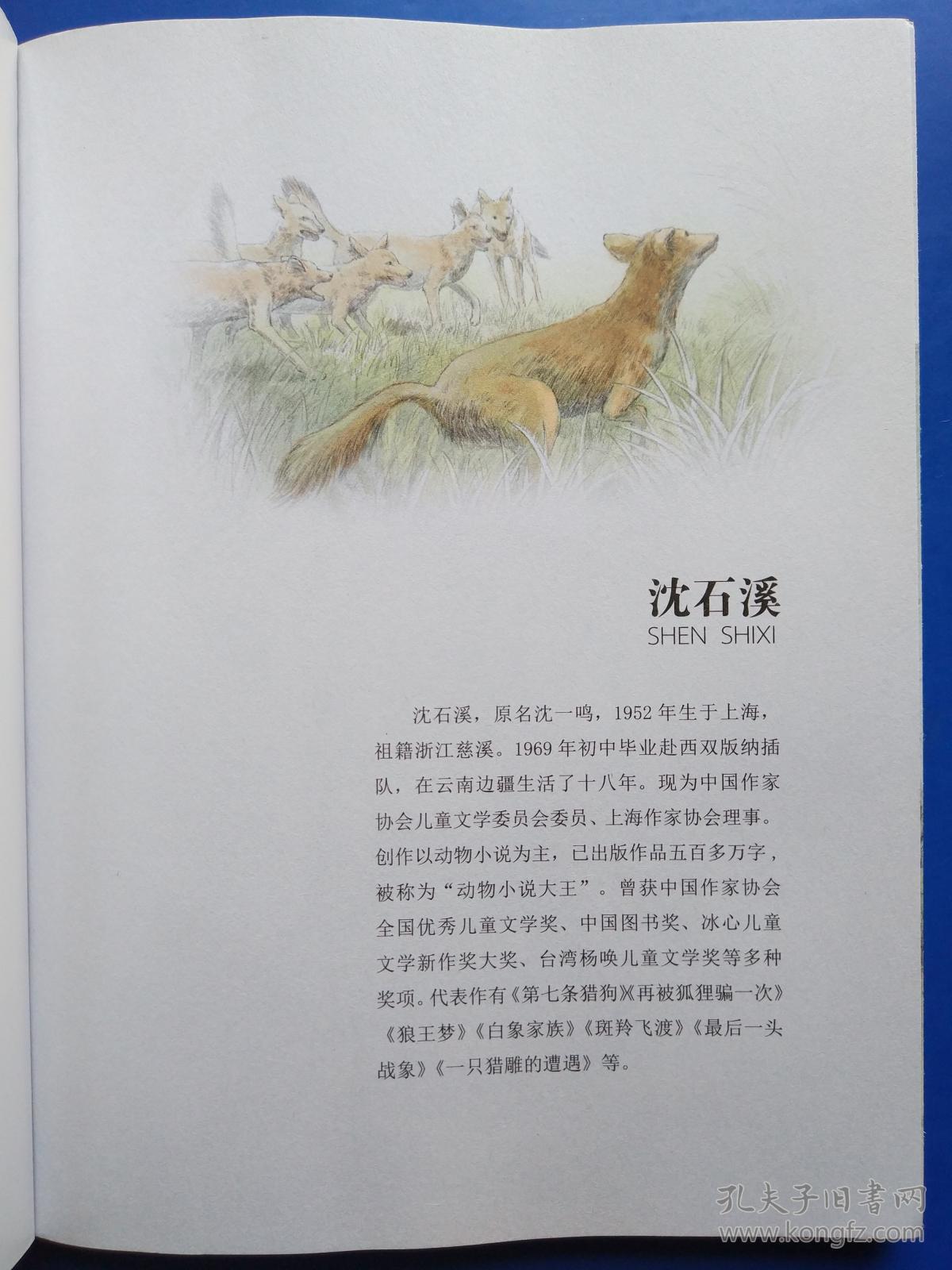 沈石溪画本(第一辑·第七条猎狗