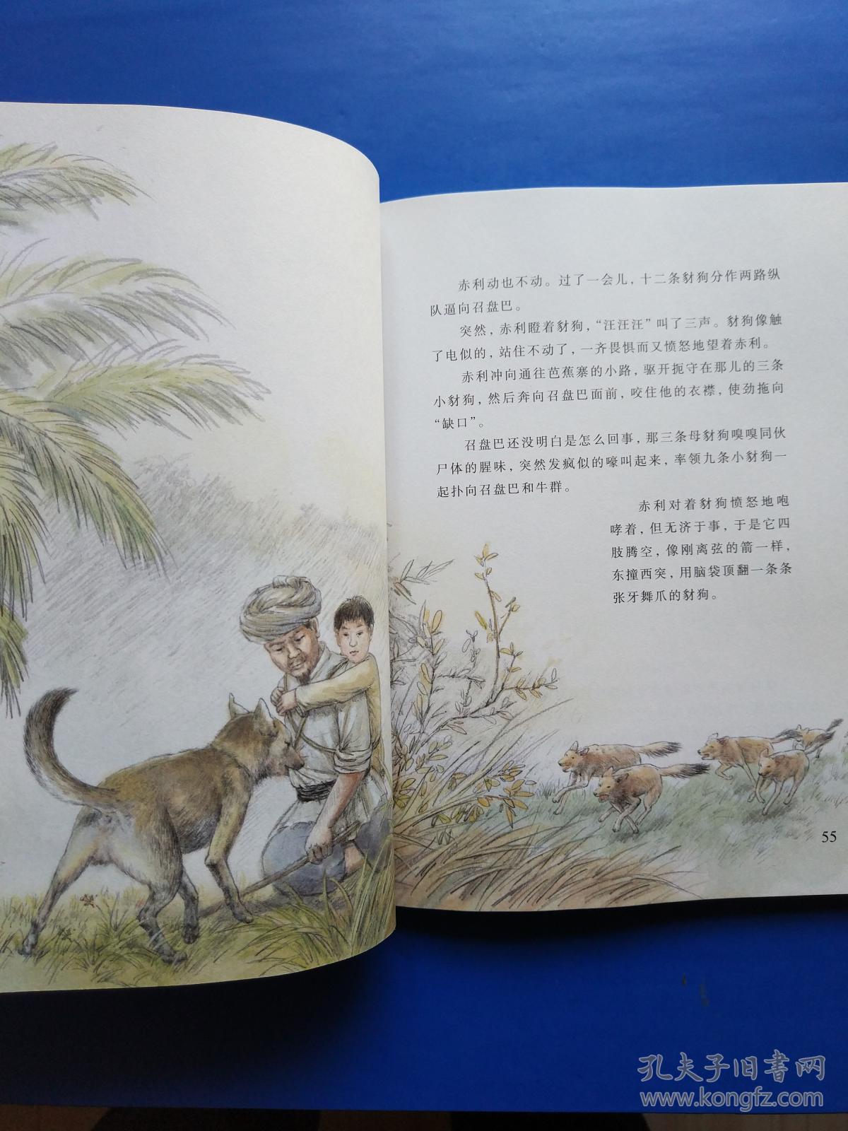 沈石溪画本(第一辑·第七条猎狗
