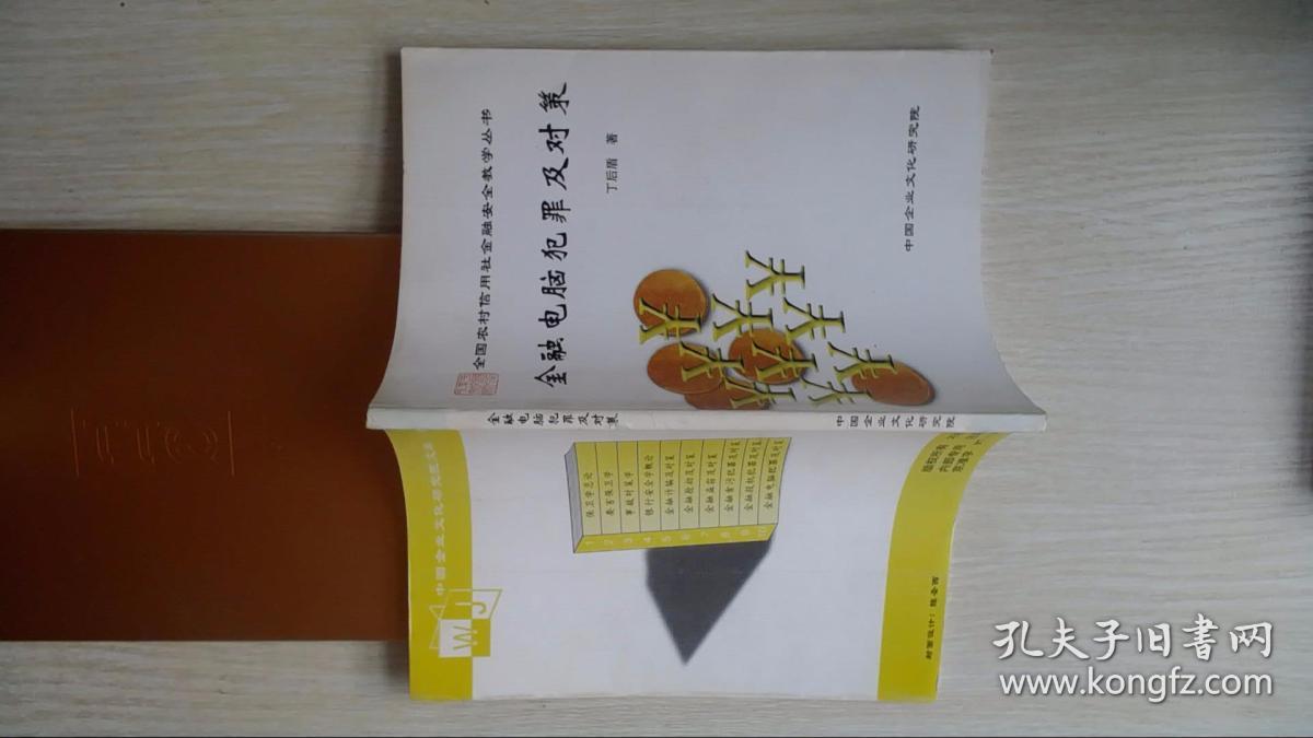 金融电脑犯罪及对策_丁后盾_孔夫子旧书网