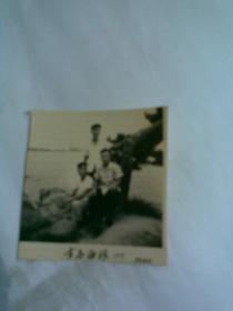 老照片：青岛海滨（天真摄影照相，1959年）