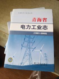青海省电力工业志1991-2002