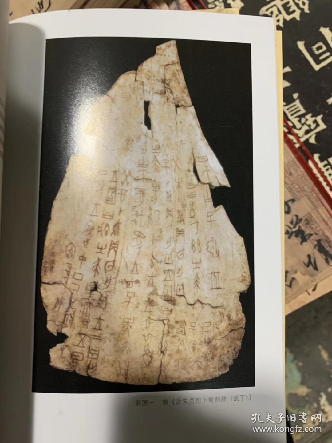 中国书法简史 王镛主编 特价20 包邮