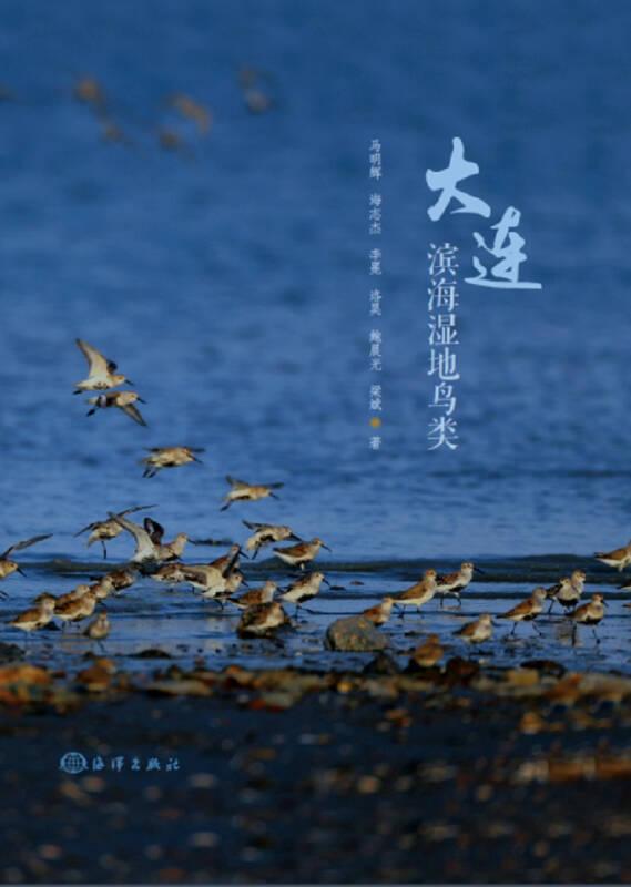 大连滨海湿地鸟类