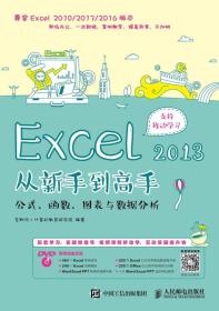 Excel2013从新手到高手