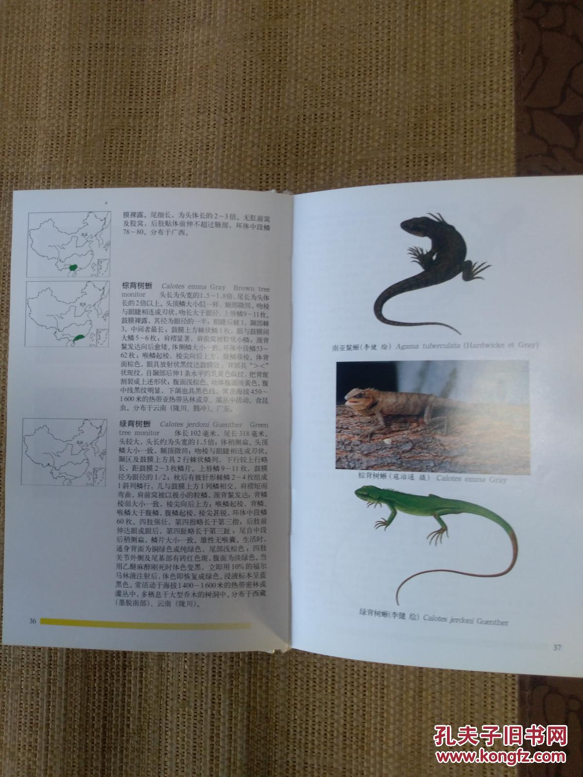 中国爬行动物图鉴