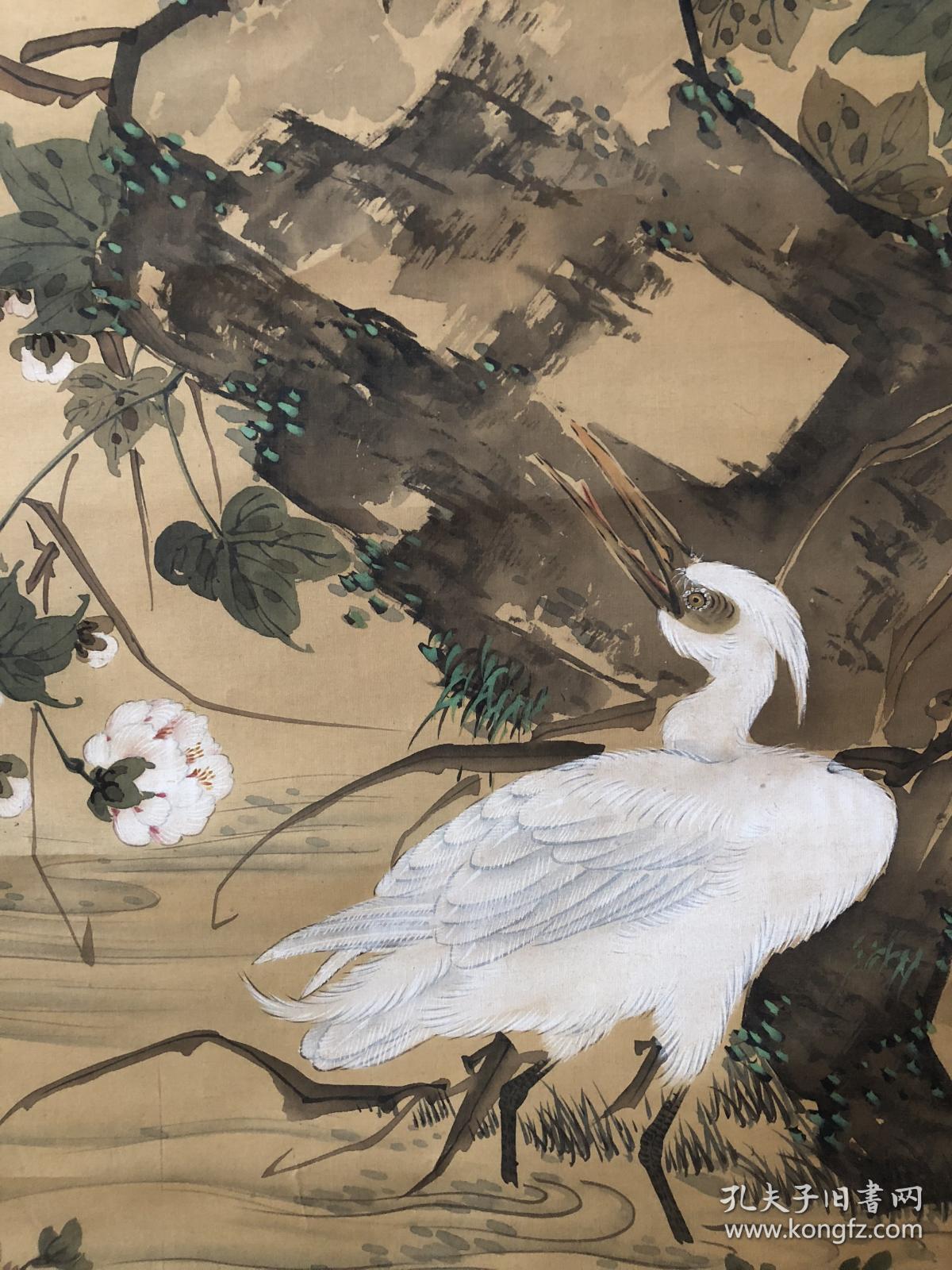 日本著名画家泷和亭花鸟画