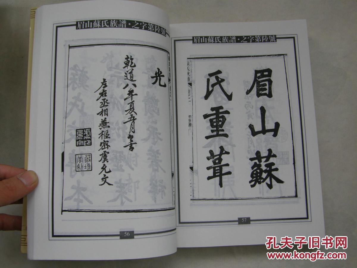 新编苏氏总族谱(第九册)眉山苏氏族谱(16开厚册