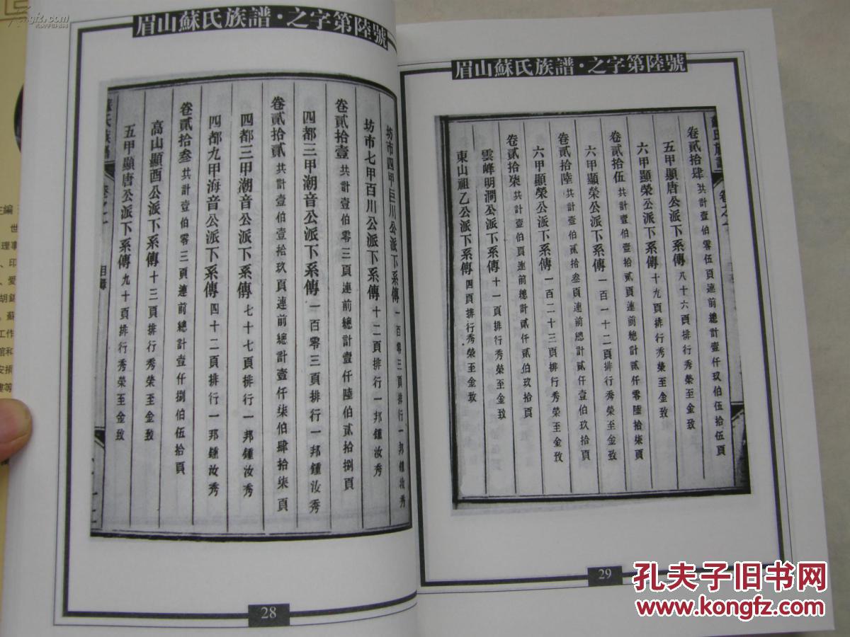 新编苏氏总族谱(第十册)眉山苏氏族谱