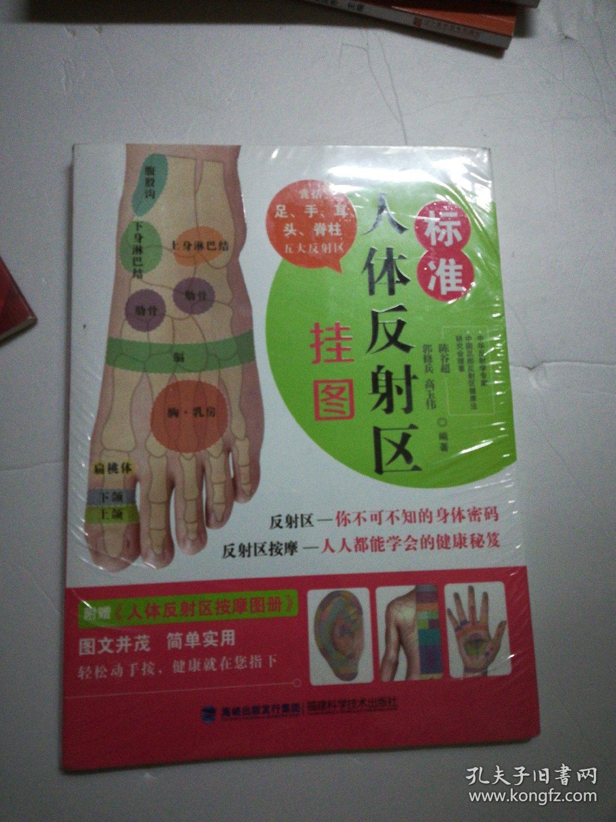 标准人体反射区挂图