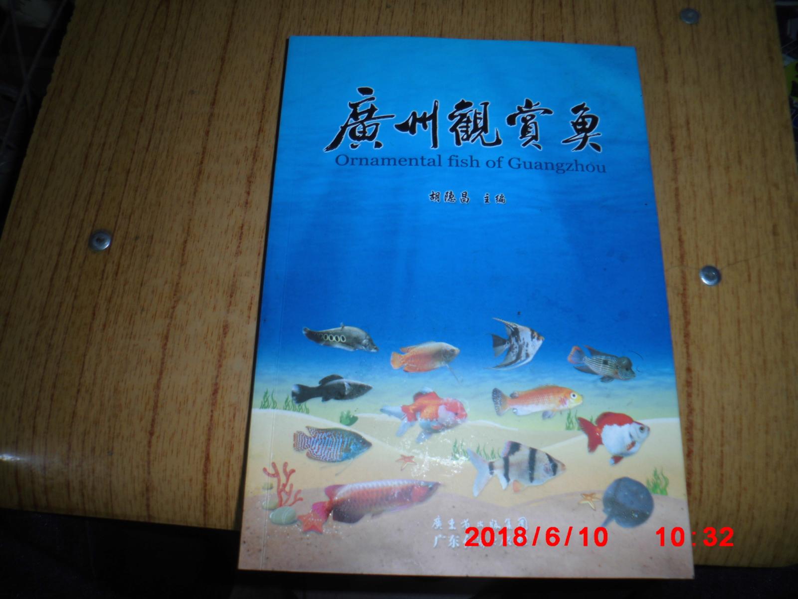 广州观赏鱼
