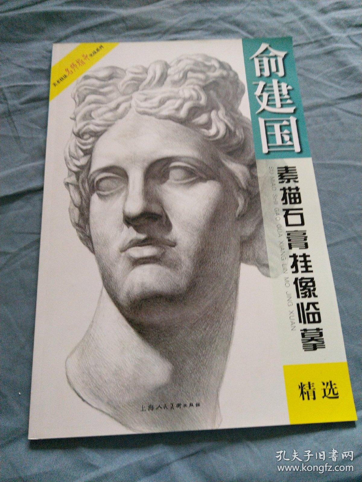 美术技法名师指导实战系列俞建国素描石膏挂像临摹精选