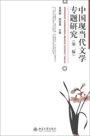 中国现当代文学专题研究(第二版9787301228876