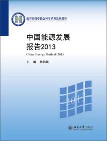 正版新书  中国能源发展报告