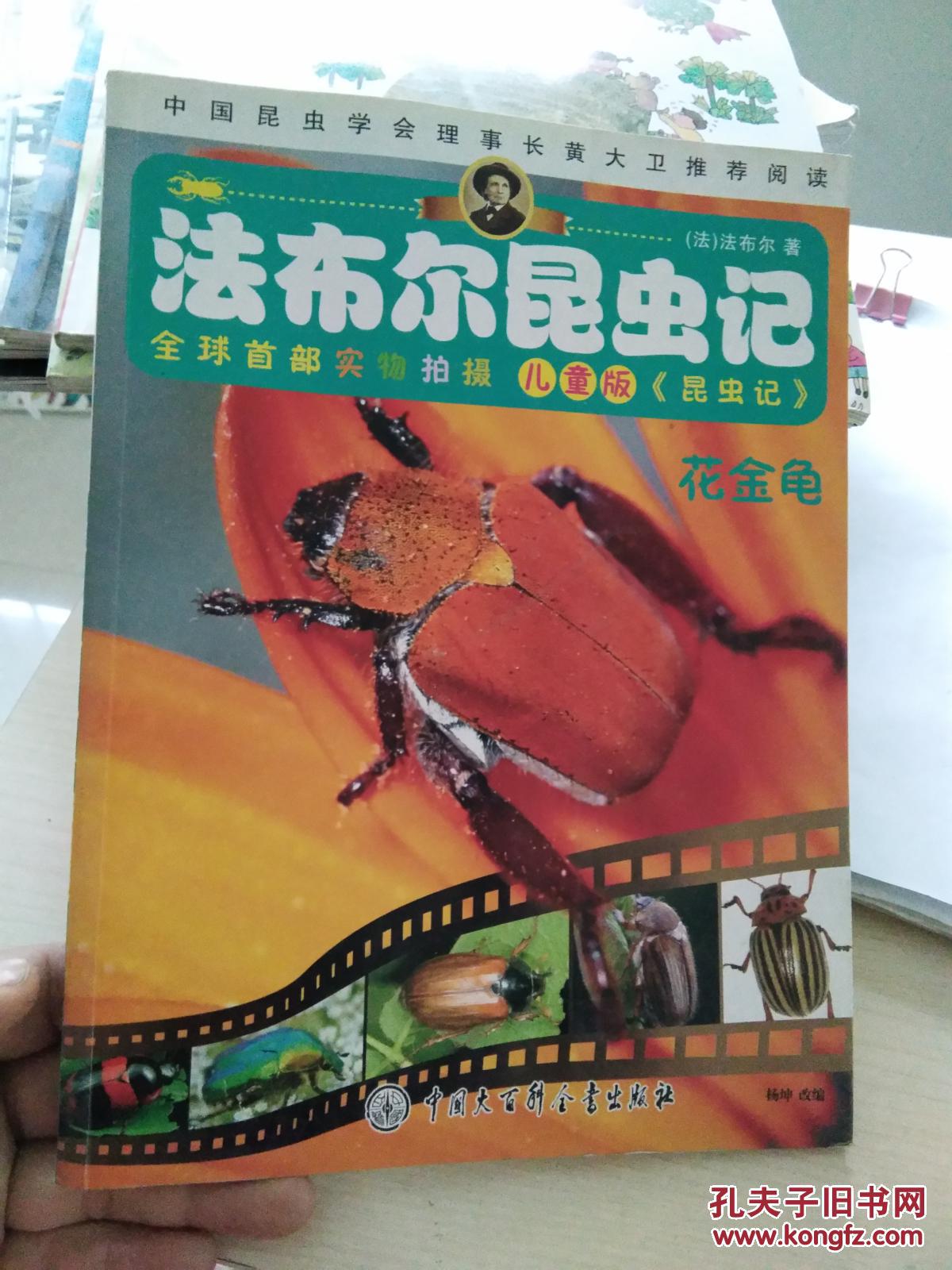 法布尔昆虫记--花金龟