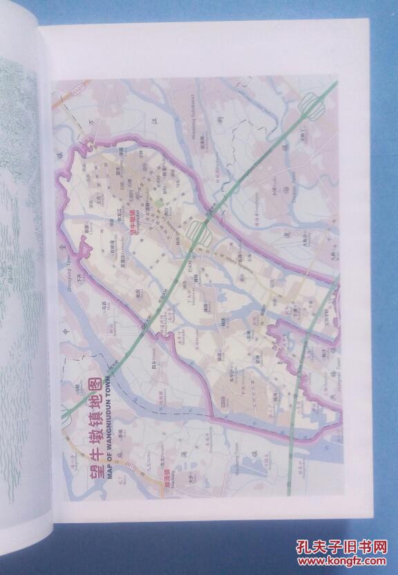 东莞市望牛墩镇志