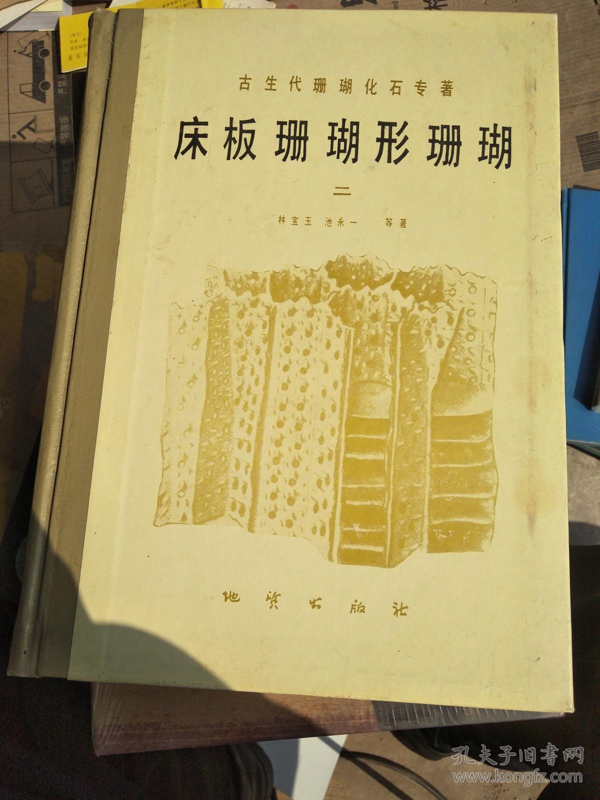 古生代珊瑚化石专著-床板珊瑚形珊瑚.二