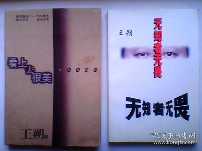 看上去很美【王朔作品】