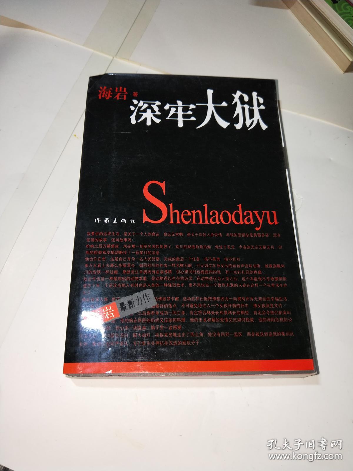深牢大狱:海岩最新力作