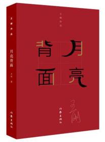 王刚作品集：月亮背面