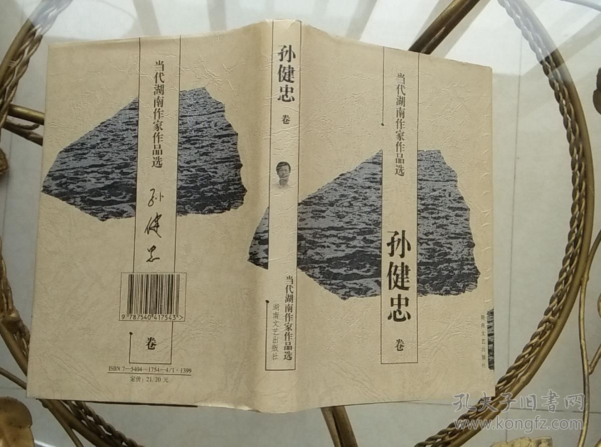 当代湖南作家作品选 孙健忠卷