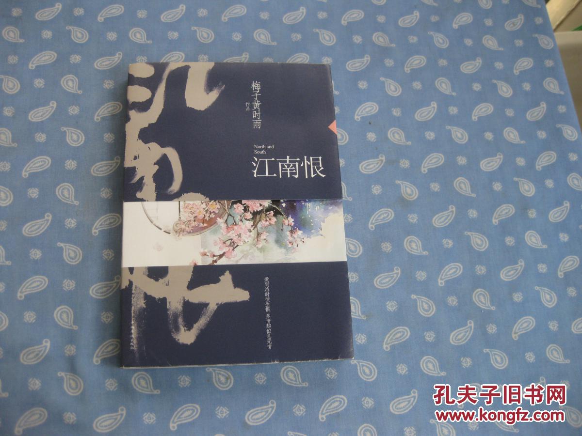 江南恨(再版)(梅子黄时雨 著)_简介_价格_文学书籍_孔网