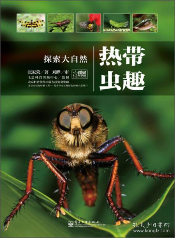 2382条结果|探索大自然