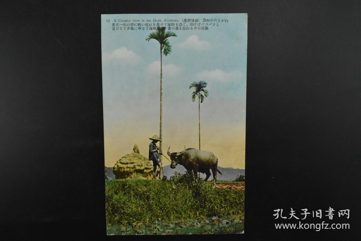 甲2996 侵华史料 台湾情调 1张风俗习俗绘叶书彩色老照片放牛的台湾人等内容台北生蕃屋本店 孔夫子旧书网