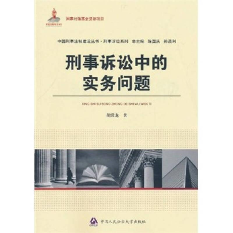 刑事诉讼中的实务问题（国家出版基金**项目·中国刑事法制建设