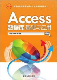 Access数据库基础与应用