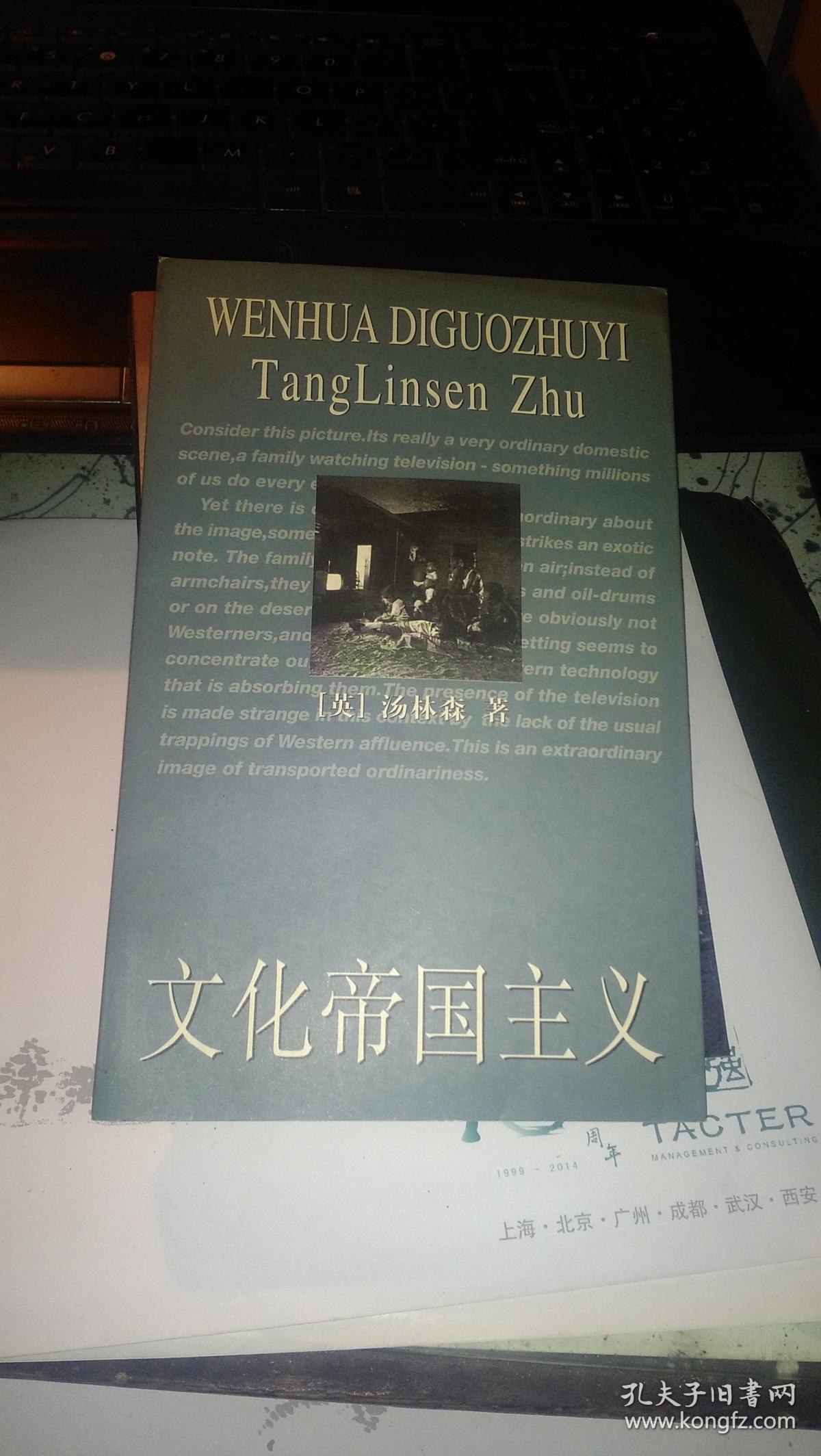 文化帝国主义 (英)汤林森