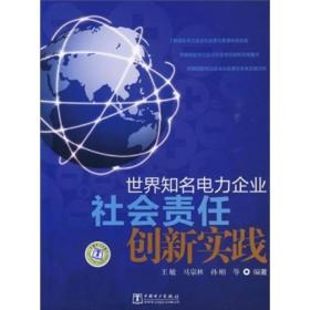 世界知名电力企业社会责任创新实践