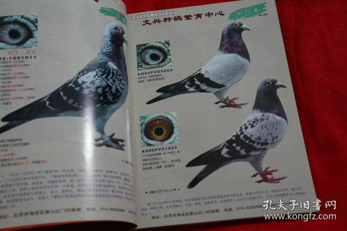 赛鸽天地2001第4期