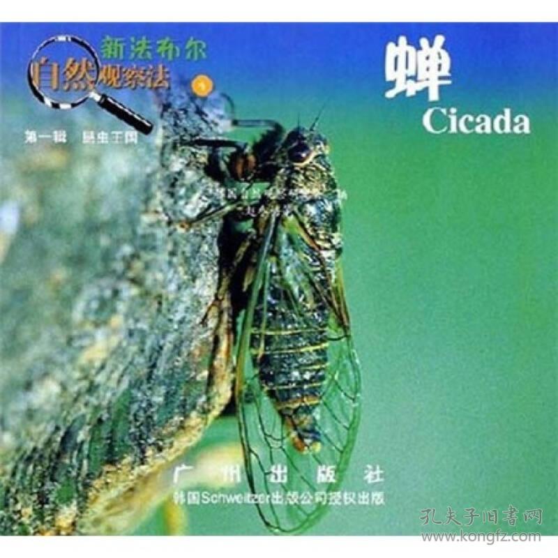 新法布尔自然观察法丛书 第1辑昆虫王国4 蝉 孔夫子旧书网 新法布尔自然观察法丛书 第1辑昆虫王国4 蝉 孔夫子旧书网