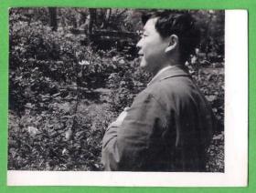 1972年老照片 摄于黄浦公园 有背跋