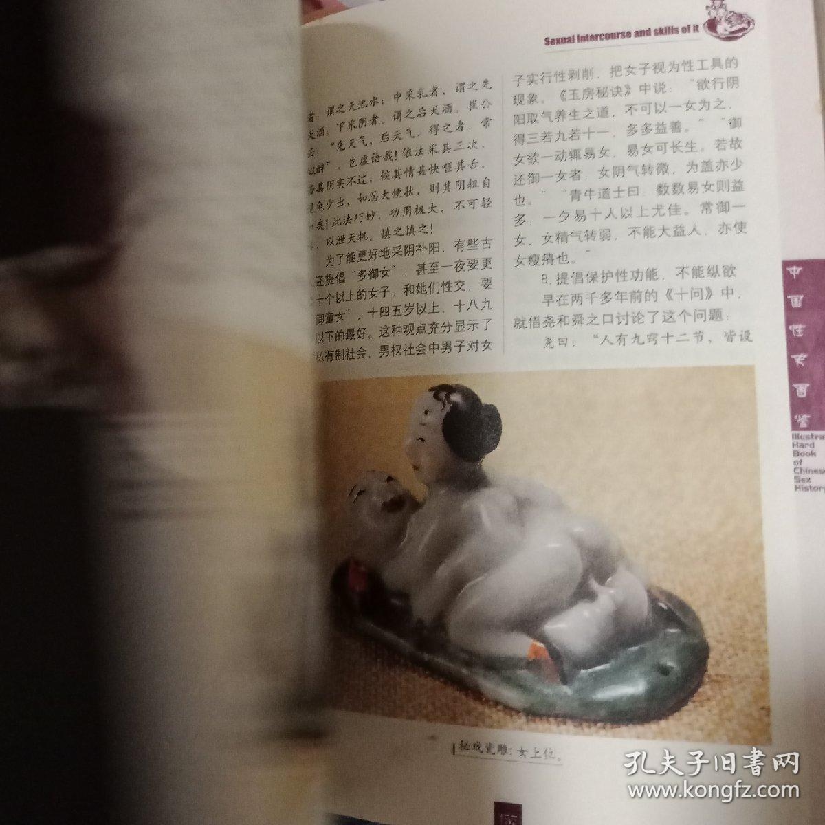 中国性史图鉴