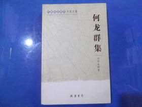 广西社会科学专家文集  何龙群集    正版现书