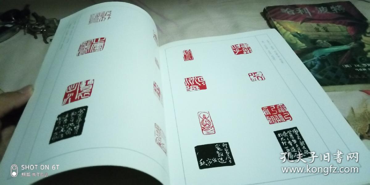 谢小毛篆刻作品集