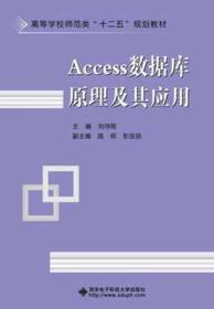ACCESS数据库原理及其应用