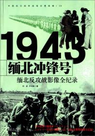 缅北反攻战影像全纪录