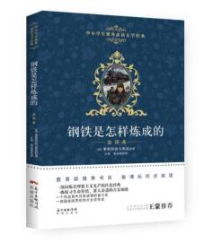 钢铁是怎么炼成的