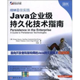 IBM最佳实践：Java企业级持久化技术指南