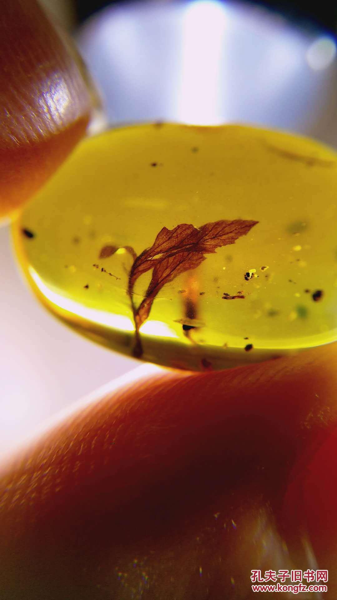 【保真植物珀】两片保存完好的远古枫叶,相依相伴,不离不弃,像经历了